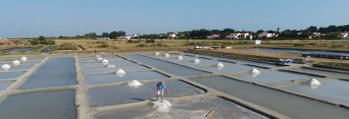 Marais Salant La Nouvelle Brille